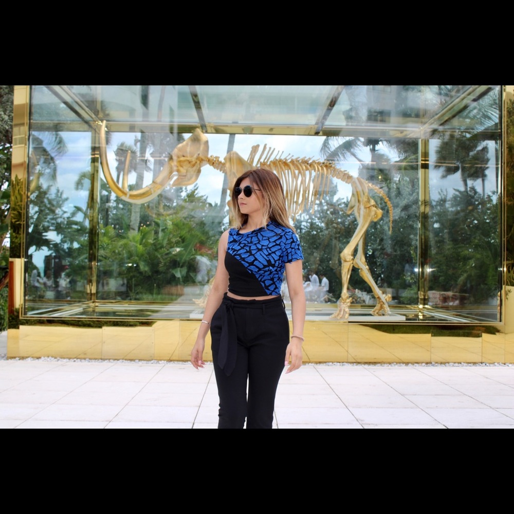Rénoosh Cropped, Asymmetrical Top